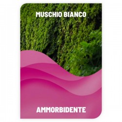 AMMORBIDENTE MUSCHIO BIANCO